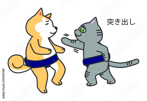 犬猫相撲　突き出し