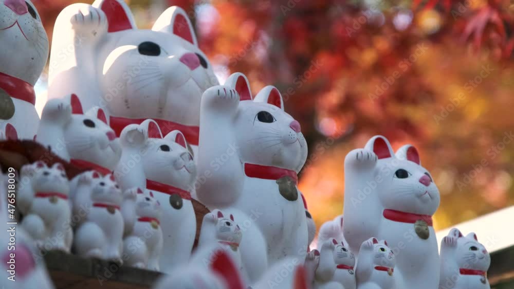 The manekineko surrounded beautiful autumn colors at the Gotokuji Temple in Tokyo The manekineko surrounded beautiful autumn colors at the Gotokuji Temple in Tokyo
