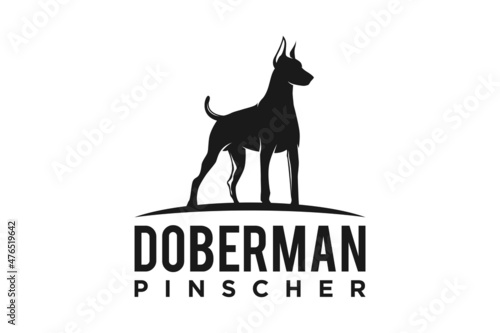 Fotografering Silhouette of Standing Doberman Pinscher Dog