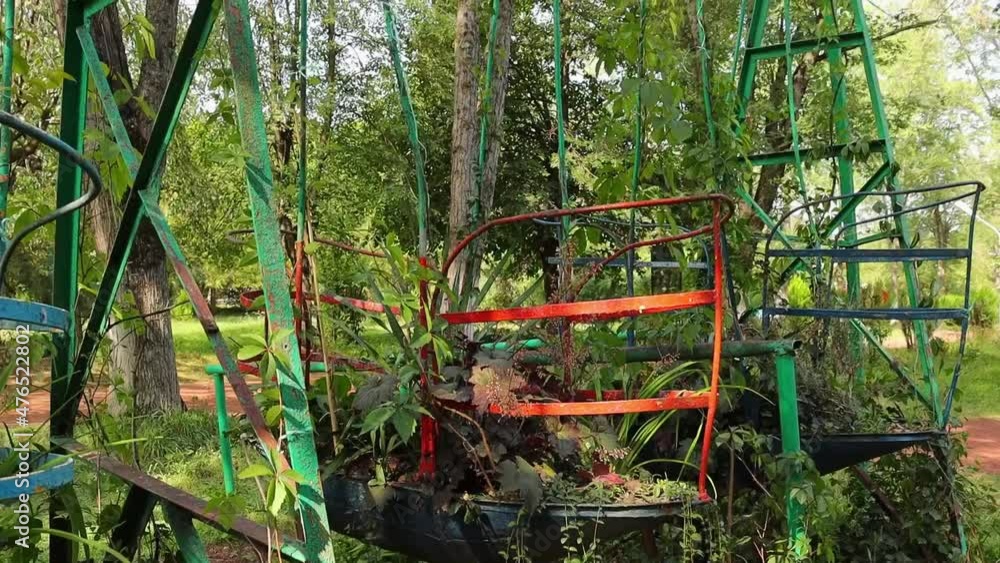 Tropical Plants Growing While Planted Into The Old Rusty Metal Swing. Tilt-up, Zoom Out Tropical Plants Growing While Planted Into The Old Rusty Metal Swing. Tilt-up, Zoom Out