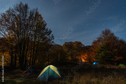 Tourists' tents in a clearing illuminated by moonlight