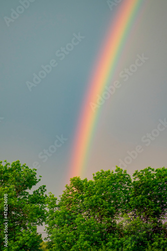 A multi-colored rainbow is arched in the sky