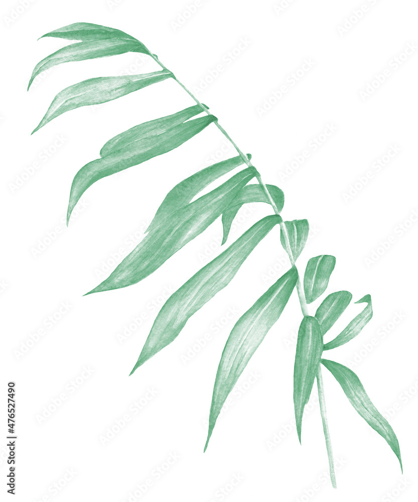 Watercolor tropical collection. Hand drawn leaves and flowers isolated on white background. Tropical decorative elements for textile, cards and invitations Watercolor tropical collection. Hand drawn leaves and flowers isolated on white background. Tropical decorative elements for textile, cards and invitations