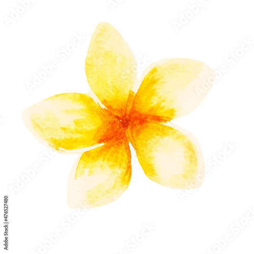 Watercolor tropical collection. Hand drawn leaves and flowers isolated on white background. Tropical decorative elements for textile, cards and invitations