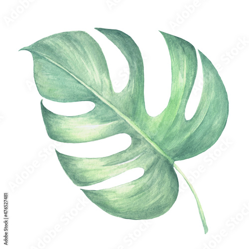 Watercolor tropical collection. Hand drawn leaves and flowers isolated on white background. Tropical decorative elements for textile, cards and invitations