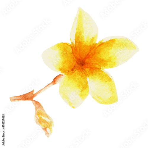 Watercolor tropical collection. Hand drawn leaves and flowers isolated on white background. Tropical decorative elements for textile, cards and invitations