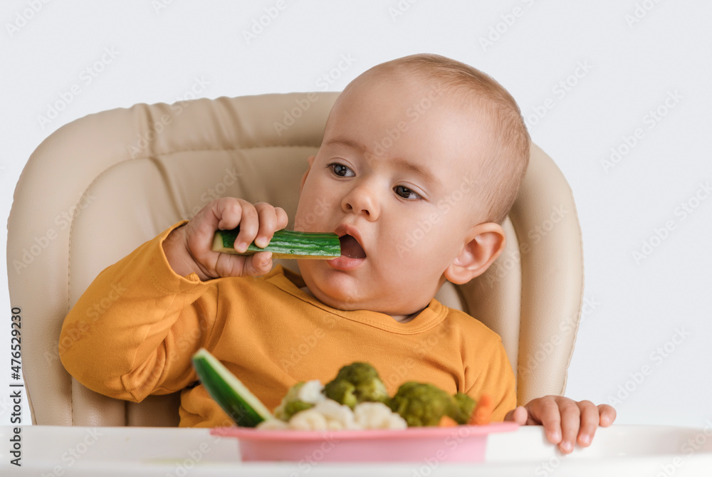 A baby on a feeding chair eats a fresh cucumber A baby on a feeding chair eats a fresh cucumber