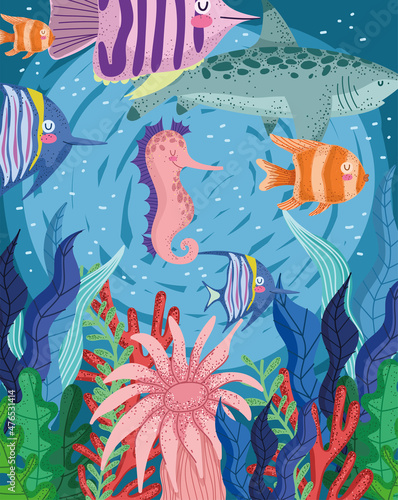 under the sea life