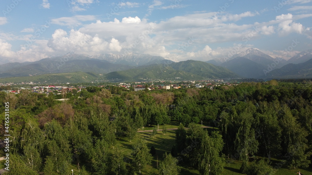 panorama with mountains, trees and village