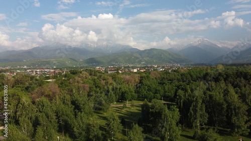 Fototapeta Naklejka Na Ścianę i Meble -  panorama with mountains, trees and village