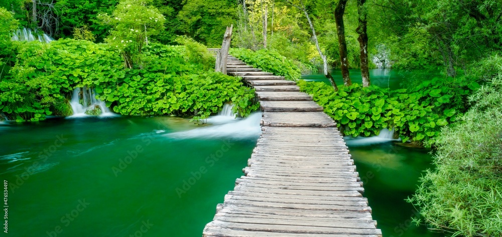 Fototapeta premium Long exposure scene with a rustic wooden boardwalk in a beautiful green forest, crossing ponds with small waterfalls and lush green summer foliage, in Plitvice Lakes National Park, Croatia.