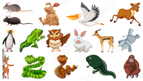 Set of different wild animals cartoon characters