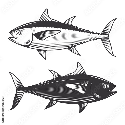 Tuna yellow fin Fish vintage drawing doodle line art illustration vector.