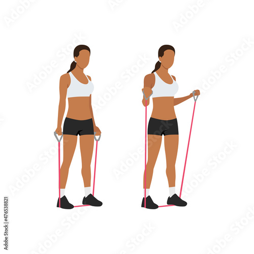 Woman doing Resistance band bicep curls exercise. Flat vector illustration isolated on white background