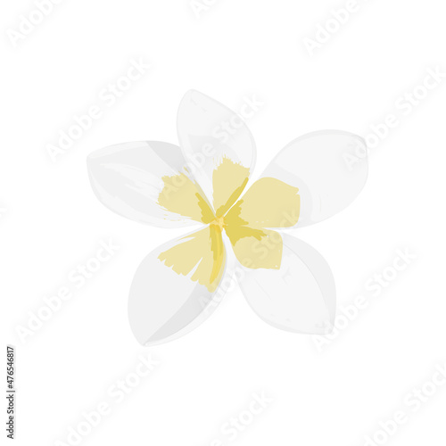 Icon of plumeria frangipani flower