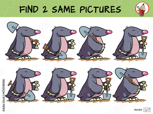 Mole with a shovel. Find two same pictures