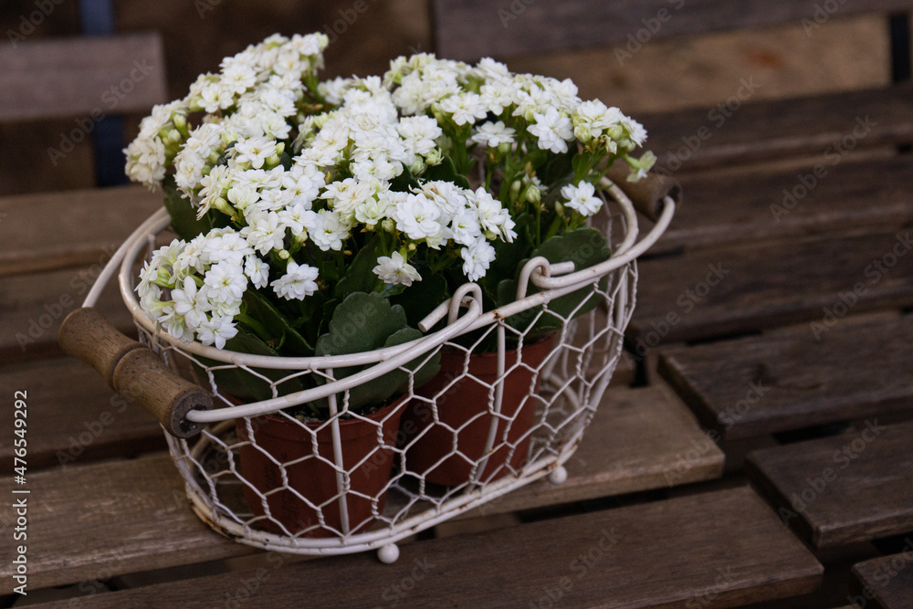 white flowers in a basket on the picnic table in the garden