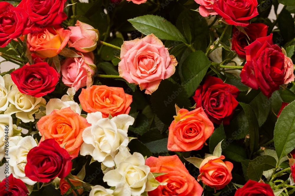 bunch of roses bunch of roses