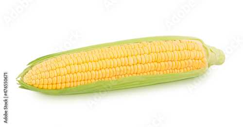 Fresh whole half peeled corn cob isolated on a white background.