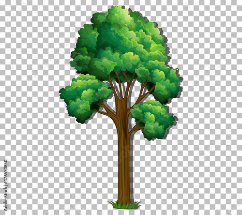 A tree with green leaves on transparent background