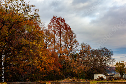 キャンプ場の紅葉