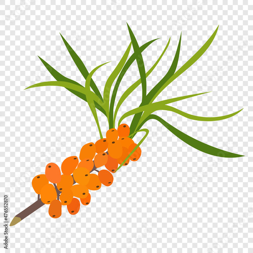 Sea buckthorn - delicious orange sour berries, cartoon flat vector illustration. Icon symbol for creating packaging or splash, children's coloring.