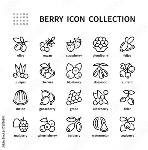 Berry simple set of vector linear icons. Isolated collection of berries icons on white background. Vector symbol set of natural food.