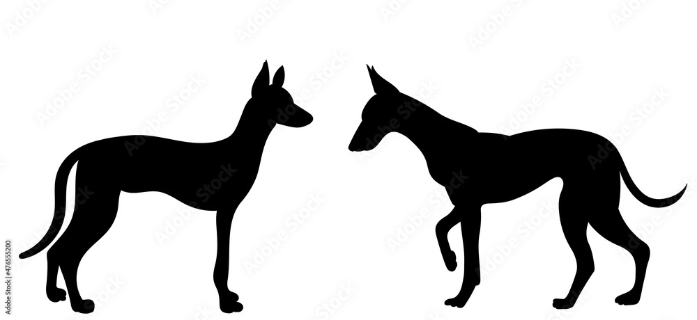 dog silhouette black isolated, vector