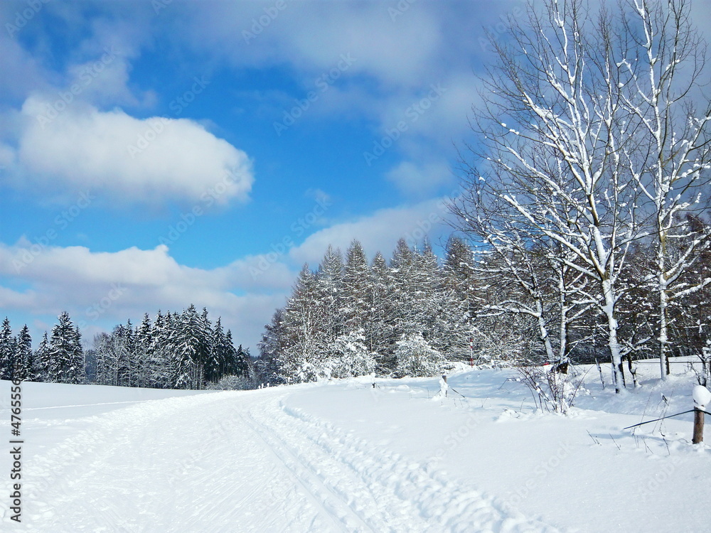 Obraz premium Czech Republic-ski track near Trutnov