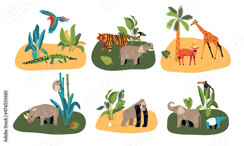 Jungle Life Design Concept