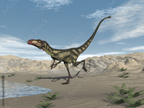 Dilong dinosaur in the desert - 3D render