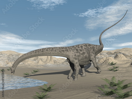 Diplodocus dinosaur drinking in the desert - 3D render © Elenarts