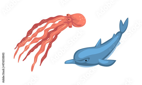 Underwater Animals with Jellyfish and Dolphin Vector Set