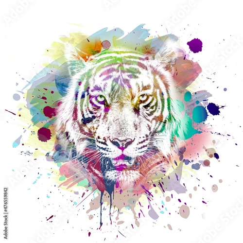 Tiger head with creative ab...