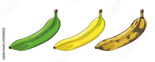 A set of three bananas. Unripe, ripe and spoiled bananas. Tropical fruits in cartoon style. Stock vector illustration isolated on a white background.