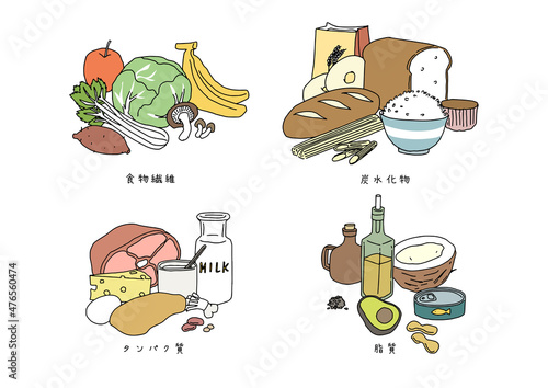 健康的な食生活に欠かせないもののセット　食物繊維、タンパク質、炭水化物、良質な油　ゆるい線画イラスト