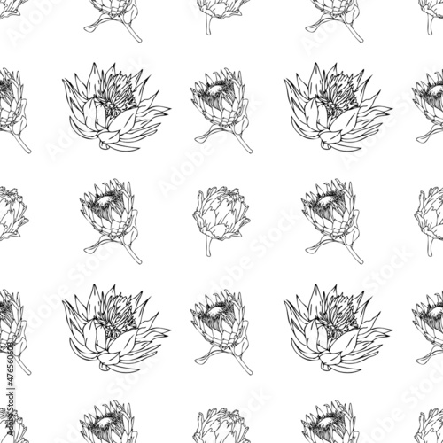 Exotic flower seamless pattern. Black and white King protea flowers