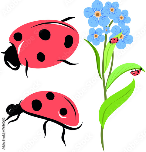 Vector Ladybug illustration with blue flower