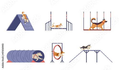 Different dogs on agility field flat vector set. Dogs passing different training obstacles. Isolated.