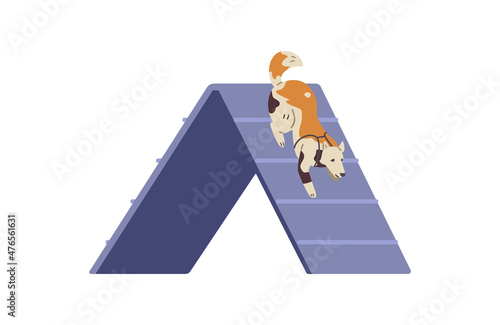 Dog training on agility field flat vector illustration. Dog passing barrier slide. Isolated.