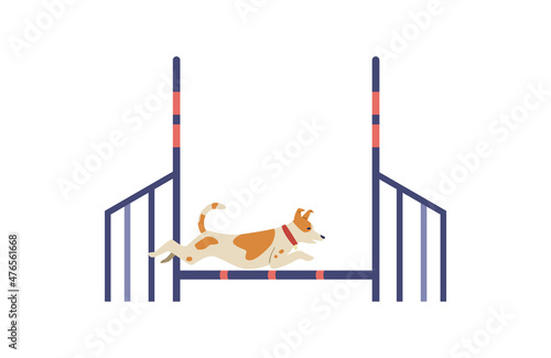 Jack Russell terrier training on agility field flat vector illustration. Dog jumping barrier. Isolated.