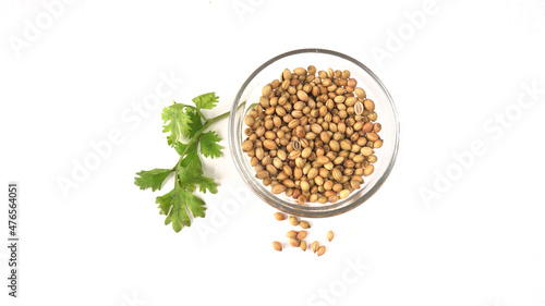 Dry coriander seeds with small bamboo spoon and green fresh bunch coriander leaves famous spices ingredients in asia s kitchen.