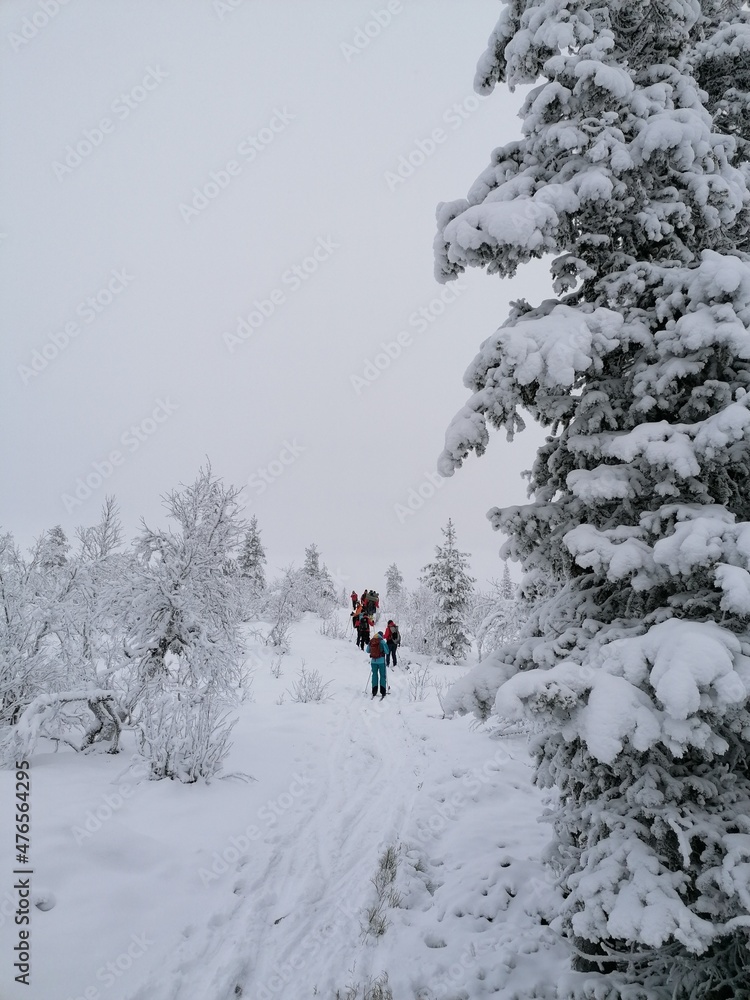 Cross country tour skiing in the snowy mountain of Sälen in Dalarna, Sweden Cross country tour skiing in the snowy mountain of Sälen in Dalarna, Sweden
