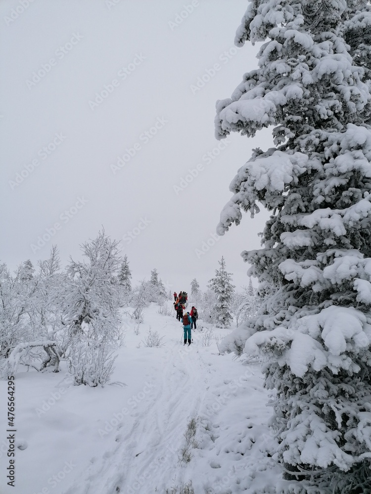 Cross country tour skiing in the snowy mountain of Sälen in Dalarna, Sweden