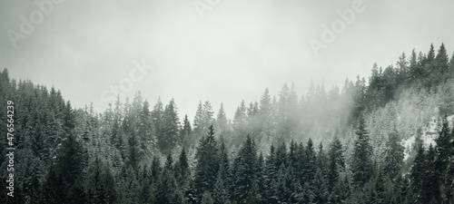 Amazing mystical rising fog sky forest snow snowy trees landscape snowscape in black forest ( Schwarzwald ) winter, Germany panorama banner - mystical snow mood