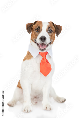 Jack russell terrier puppy wearing  suit with necktie looks at camera. isolated on white background © Ermolaev Alexandr