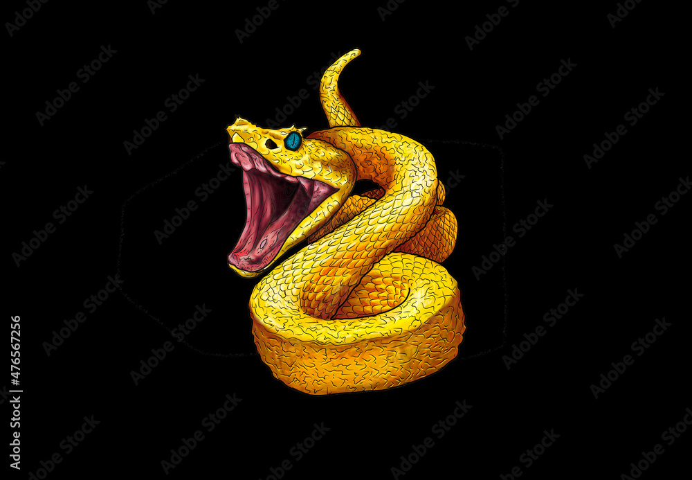 Fototapeta premium Serpiente cascabel amarilla