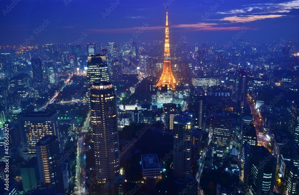 Obraz premium 東京ナイトビュー