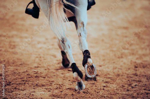 A rear view of a galloping fast gray horse, stepping on the sand in the arena with shod hooves. Equestrian sports. Horse riding.