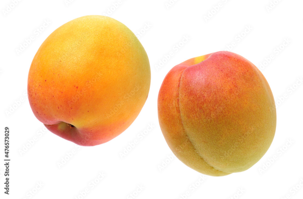 Fresh apricot fruits isolated on white background Fresh apricot fruits isolated on white background